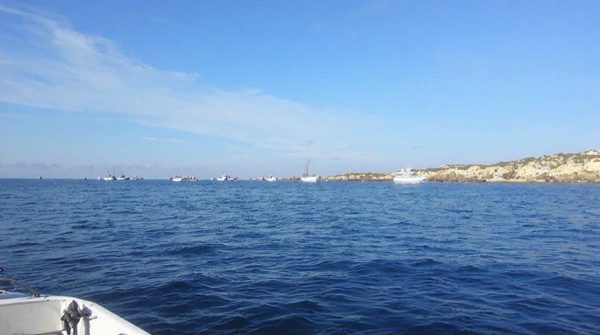 Événements de pêche en mer méditerranée : explorez l'aventure !